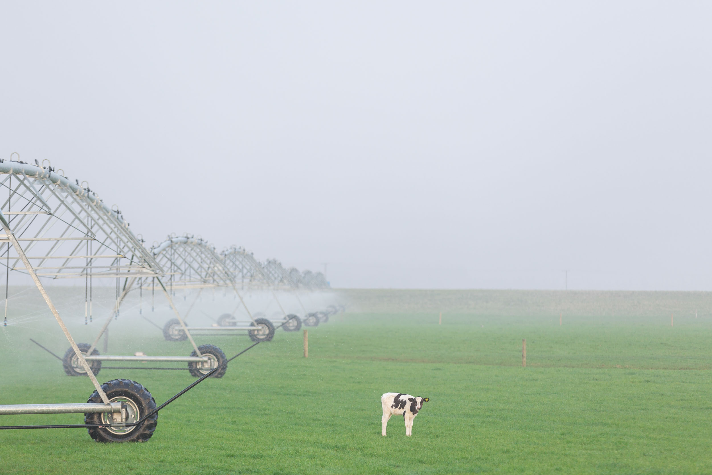 Misty farm advertising photography
